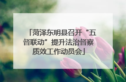 菏泽东明县召开“五督联动”提升法治督察质效工作动员会