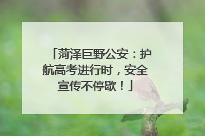 菏泽巨野公安：护航高考进行时，安全宣传不停歇！