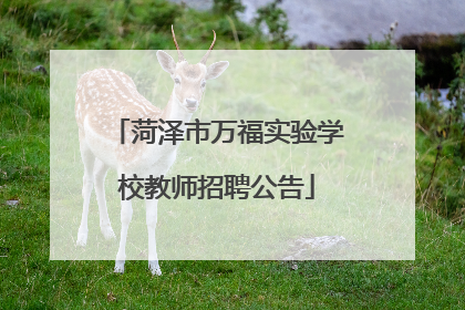 菏泽市万福实验学校教师招聘公告