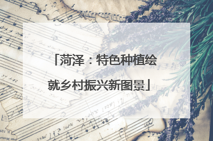 菏泽：特色种植绘就乡村振兴新图景