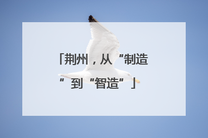 荆州，从“制造”到“智造”
