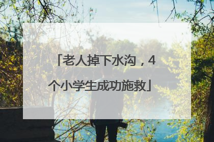 老人掉下水沟，4个小学生成功施救