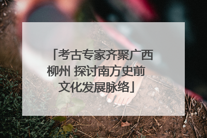 考古专家齐聚广西柳州 探讨南方史前文化发展脉络