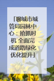 聊城市城管局园林中心：抢抓时机 全面完成道路绿化优化提升