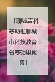 聊城青科赛助推聊城市科技教育省赛硕果累累