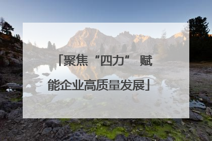 聚焦“四力” 赋能企业高质量发展