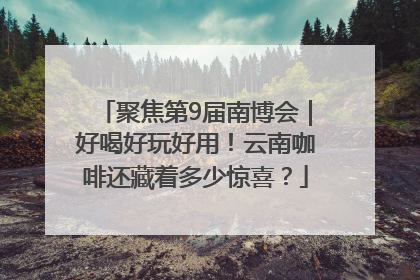 聚焦第9届南博会｜好喝好玩好用！云南咖啡还藏着多少惊喜？