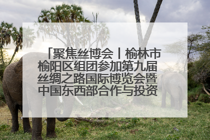 聚焦丝博会丨榆林市榆阳区组团参加第九届丝绸之路国际博览会暨中国东西部合作与投资贸易洽谈会