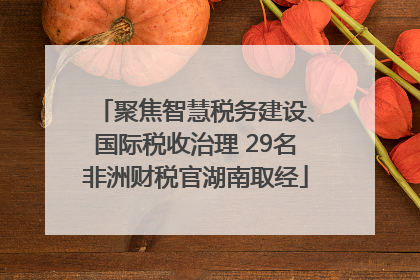 聚焦智慧税务建设、国际税收治理 29名非洲财税官湖南取经