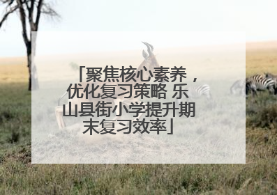 聚焦核心素养，优化复习策略 乐山县街小学提升期末复习效率