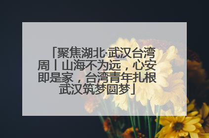 聚焦湖北·武汉台湾周丨山海不为远，心安即是家，台湾青年扎根武汉筑梦圆梦