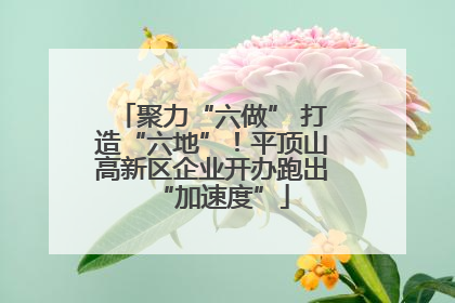 聚力“六做” 打造“六地”！平顶山高新区企业开办跑出“加速度”