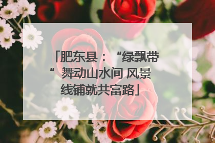 肥东县：“绿飘带”舞动山水间 风景线铺就共富路