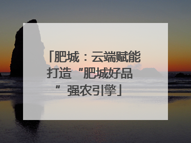 肥城：云端赋能 打造“肥城好品”强农引擎