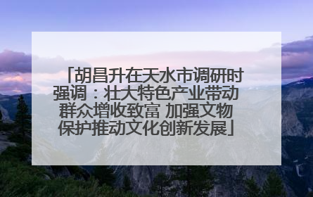 胡昌升在天水市调研时强调：壮大特色产业带动群众增收致富 加强文物保护推动文化创新发展