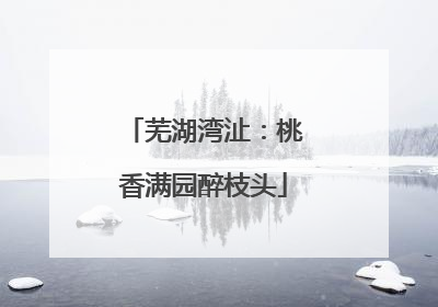 芜湖湾沚：桃香满园醉枝头