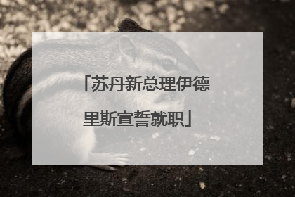 苏丹新总理伊德里斯宣誓就职