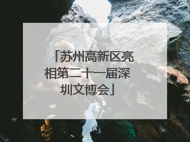 苏州高新区亮相第二十一届深圳文博会