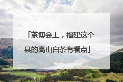茶博会上，福建这个县的高山白茶有看点