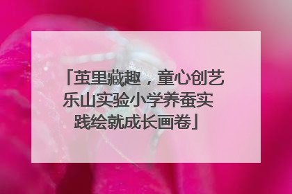 茧里藏趣，童心创艺 乐山实验小学养蚕实践绘就成长画卷