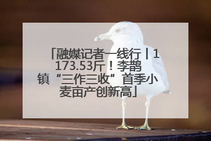 融媒记者一线行丨1173.53斤！李鹊镇“三作三收”首季小麦亩产创新高