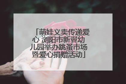 萌娃义卖传递爱心 浏阳市新翼幼儿园举办跳蚤市场暨爱心捐赠活动