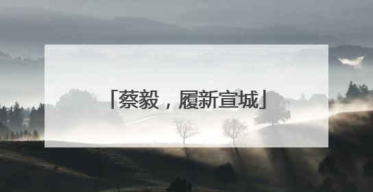 蔡毅，履新宣城