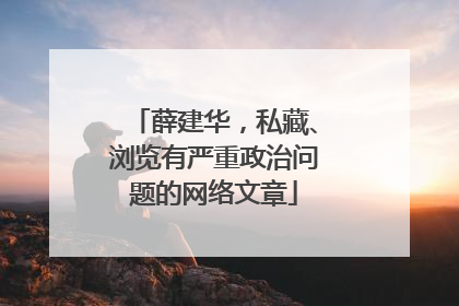 薛建华，私藏、浏览有严重政治问题的网络文章
