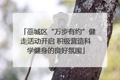 藁城区“万步有约”健走活动开启 积极营造科学健身的良好氛围