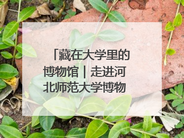 藏在大学里的博物馆｜走进河北师范大学博物馆天地科学馆：在校园里赴一场“宇宙之约”