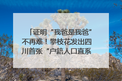 证明“我爸是我爸”不再难！攀枝花发出四川首张“户籍人口直系亲属关系谱”