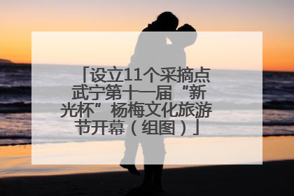 设立11个采摘点 武宁第十一届“新光杯”杨梅文化旅游节开幕（组图）