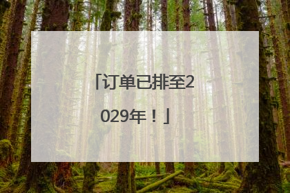 订单已排至2029年！