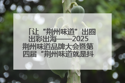 让“荆州味道”出圈出彩出海——2025荆州味道品牌大会暨第四届“荆州味道就是抖味”短视频挑战赛启动仪式侧记