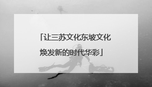 让三苏文化东坡文化焕发新的时代华彩