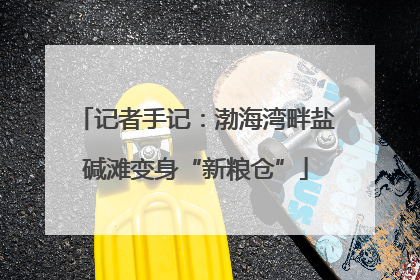 记者手记：渤海湾畔盐碱滩变身“新粮仓”