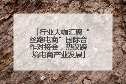 行业大咖汇聚“丝路电商”国际合作对接会，热议跨境电商产业发展