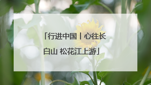 行进中国丨心往长白山 松花江上游