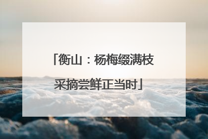 衡山：杨梅缀满枝 采摘尝鲜正当时