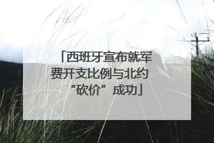 西班牙宣布就军费开支比例与北约“砍价”成功