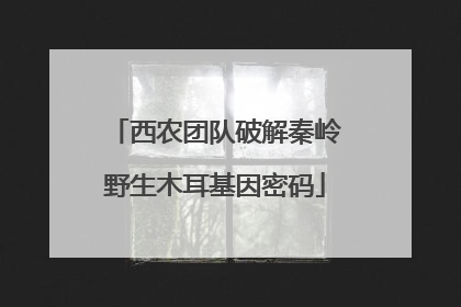 西农团队破解秦岭野生木耳基因密码