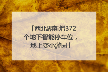 西北湖新增372个地下智能停车位，地上变小游园