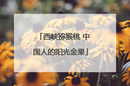 西峡猕猴桃 中国人的阳光金果