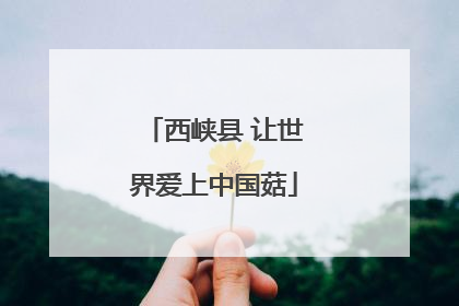 西峡县 让世界爱上中国菇