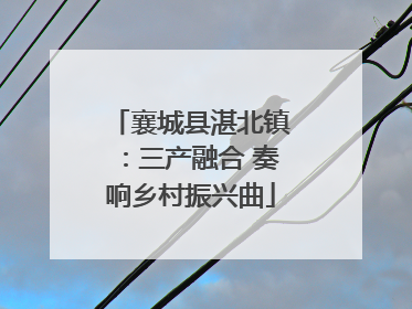 襄城县湛北镇：三产融合 奏响乡村振兴曲