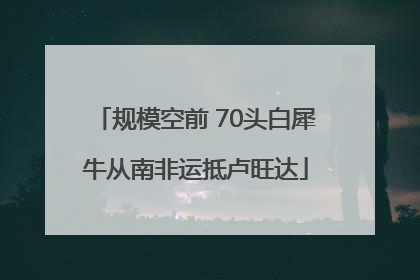 规模空前 70头白犀牛从南非运抵卢旺达