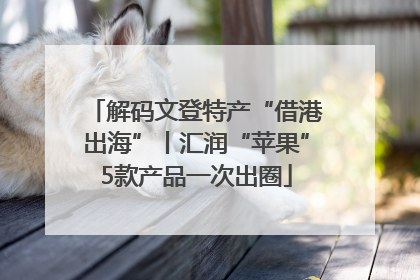 解码文登特产“借港出海”丨汇润“苹果”5款产品一次出圈