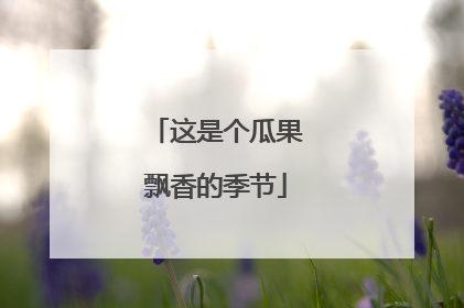 这是个瓜果飘香的季节