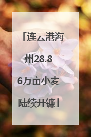连云港海州28.86万亩小麦陆续开镰