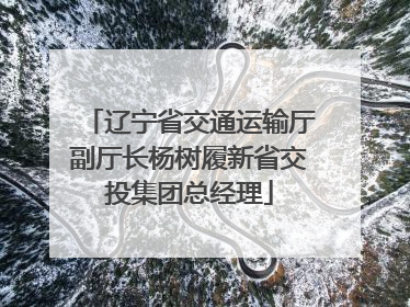 辽宁省交通运输厅副厅长杨树履新省交投集团总经理